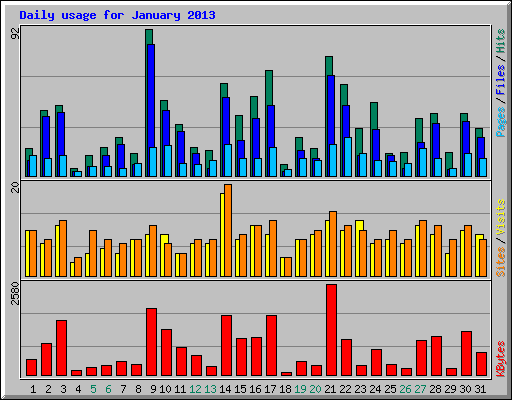 Daily usage for January 2013