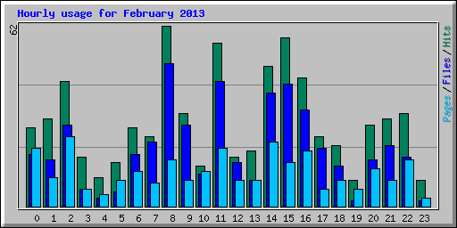 Hourly usage for February 2013