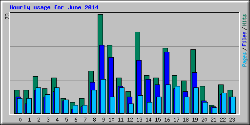 Hourly usage for June 2014